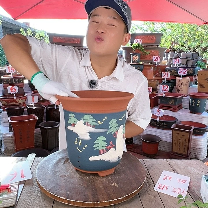 紫砂20CM（含）-50CM（不含）