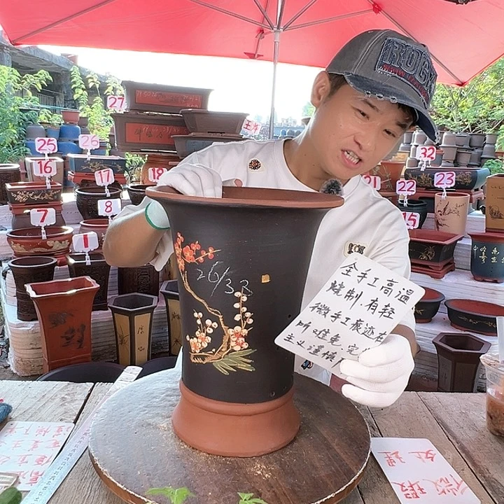 紫砂20CM（含）-50CM（不含）