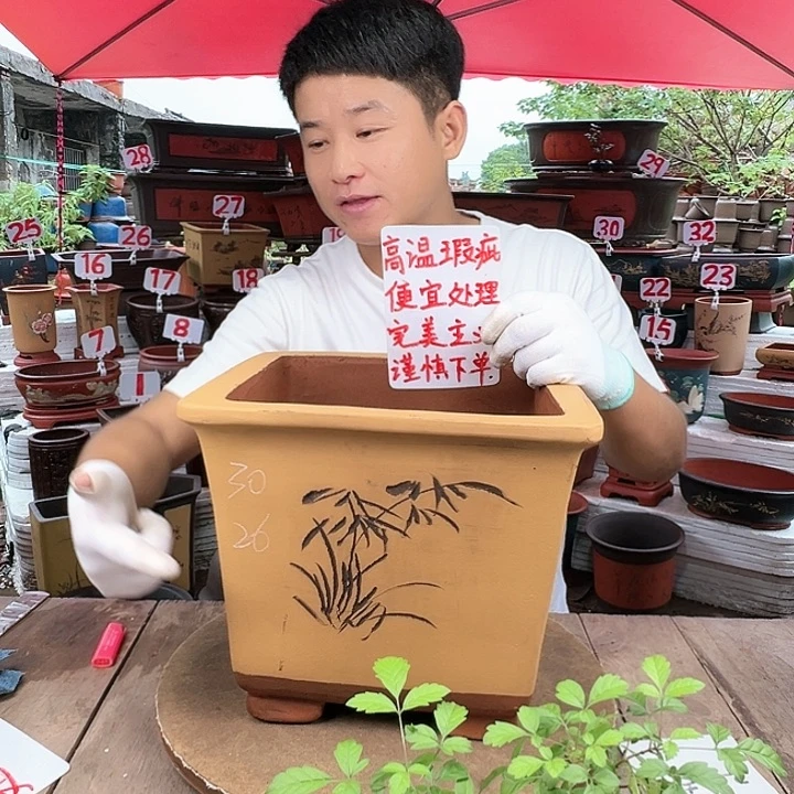 紫砂20CM(含)-50CM(不含)