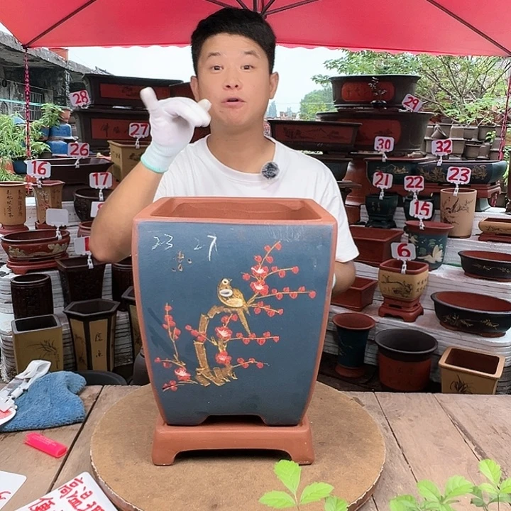 紫砂20CM（含）-50CM（不含）