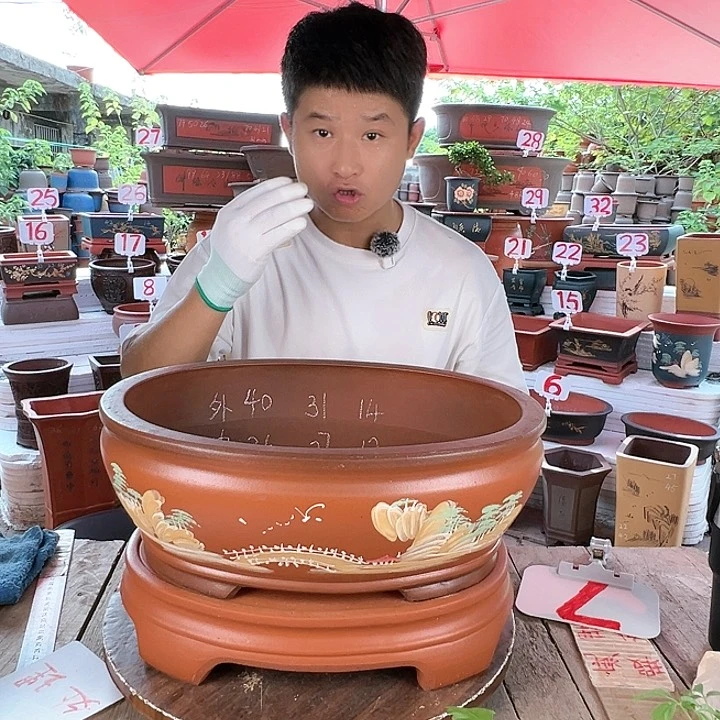 紫砂20CM（含）-50CM（不含）