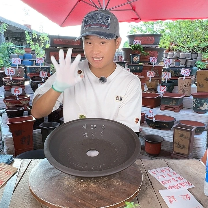 紫砂20CM(含)-50CM(不含)