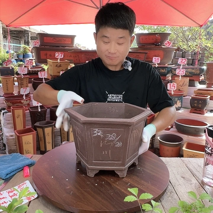 紫砂20CM（含）-50CM（不含）