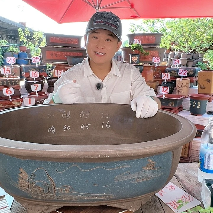 紫砂20CM（含）-50CM（不含）