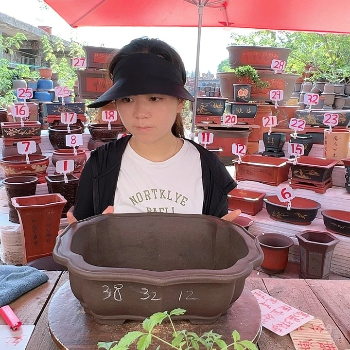 紫砂20CM（含）-50CM（不含）