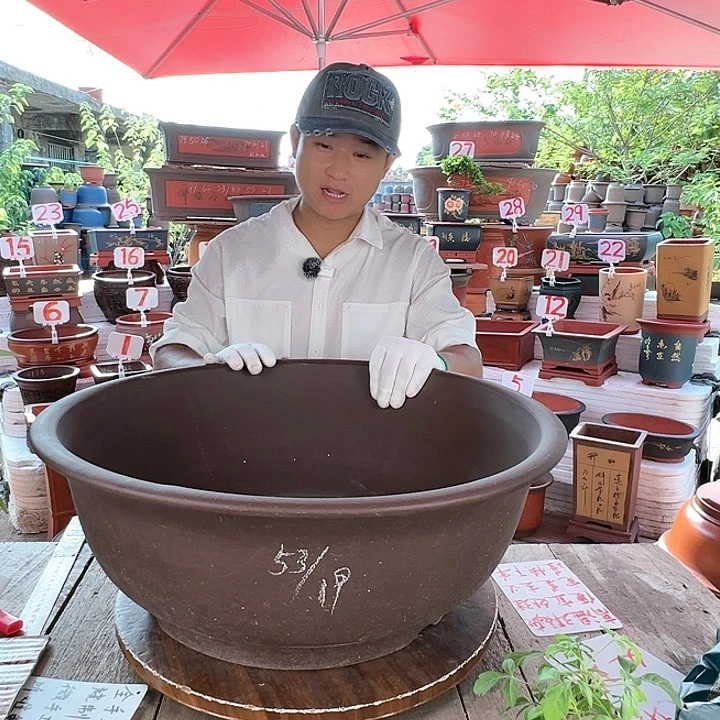 紫砂20CM（含）-50CM（不含）