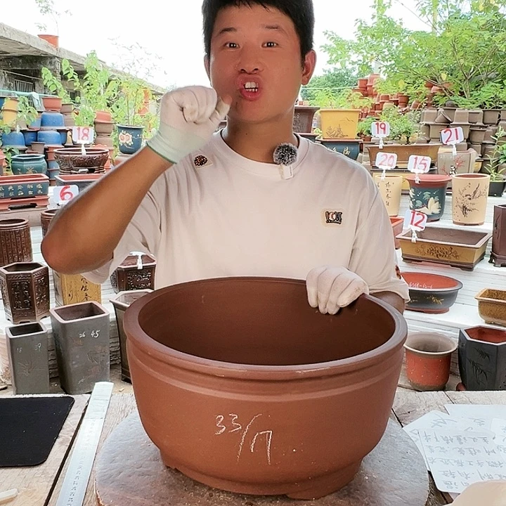紫砂20CM（含）-50CM（不含）