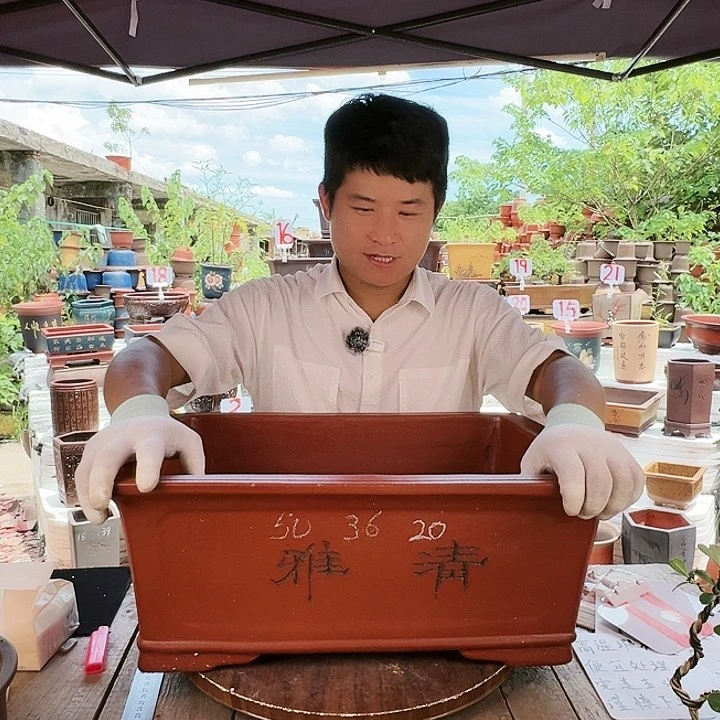 紫砂20CM(含)-50CM(不含)