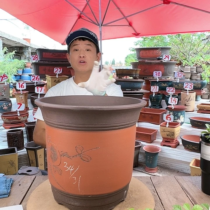 紫砂20CM（含）-50CM（不含）