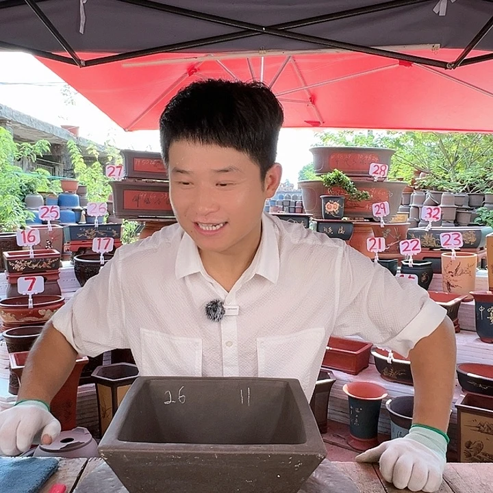 紫砂20CM（含）-50CM（不含）