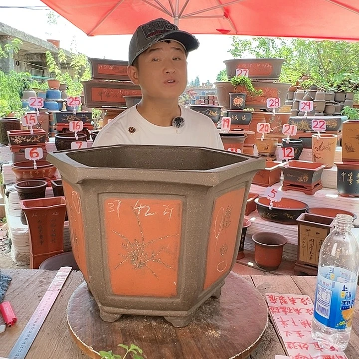 紫砂20CM（含）-50CM（不含）