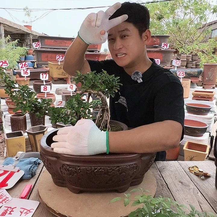 紫砂20CM（含）-50CM（不含）