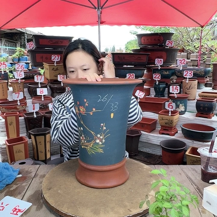 紫砂20CM(含)-50CM(不含)