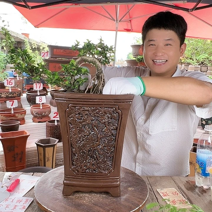 紫砂20CM(含)-50CM(不含)