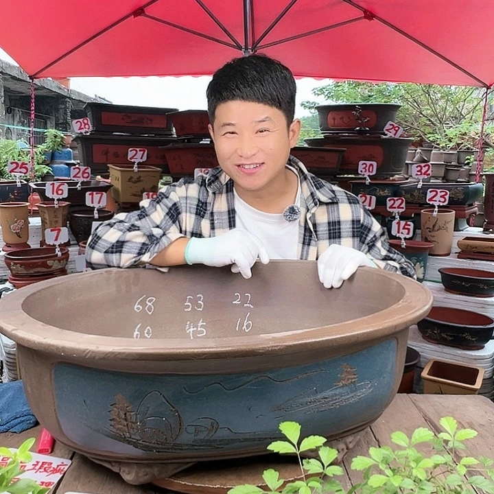 紫砂20CM(含)-50CM(不含)