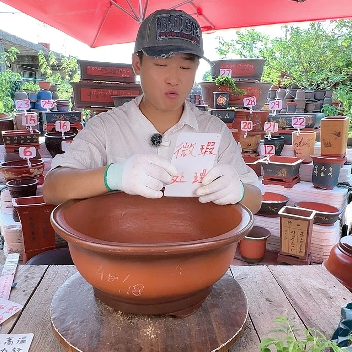 紫砂20CM（含）-50CM（不含）