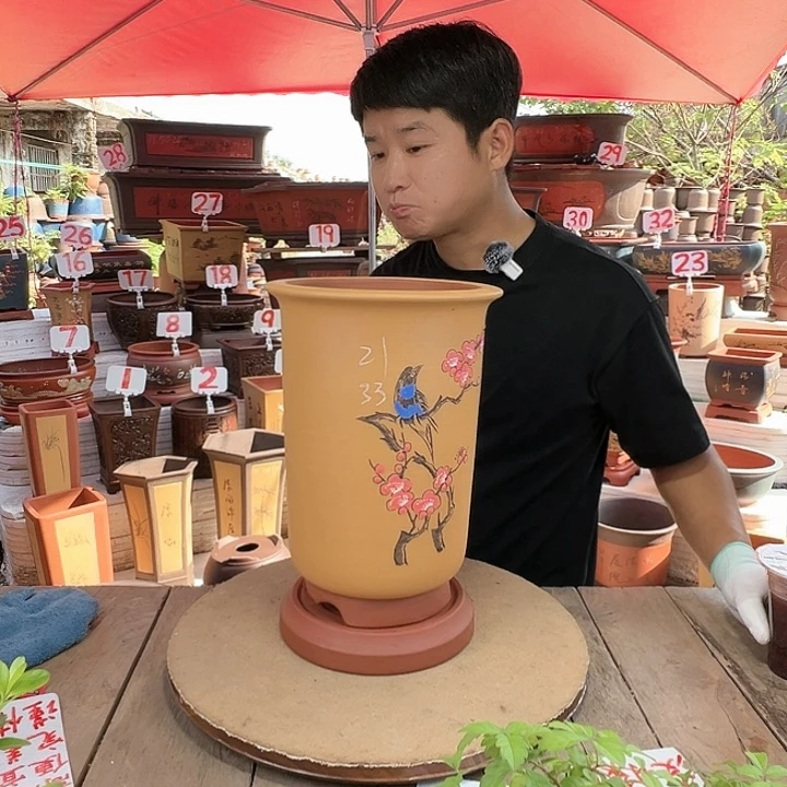 紫砂20CM（含）-50CM（不含）