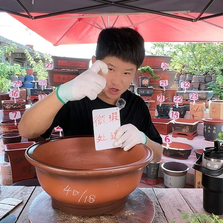 紫砂20CM（含）-50CM（不含）