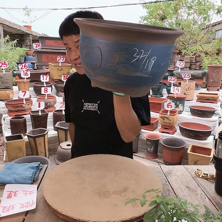 紫砂20CM（含）-50CM（不含）