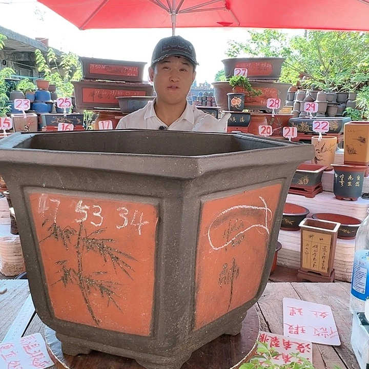 紫砂20CM(含)-50CM(不含)