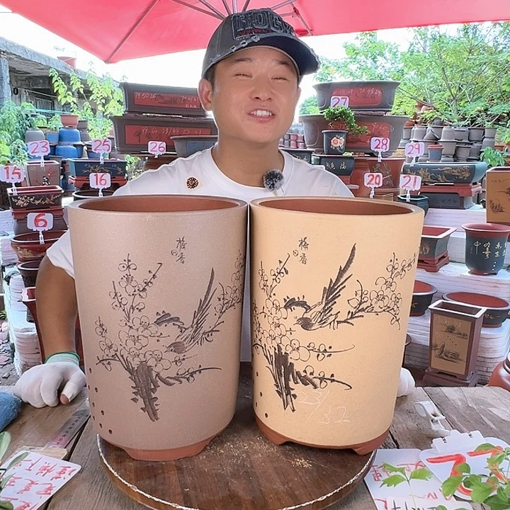 紫砂20CM（含）-50CM（不含）