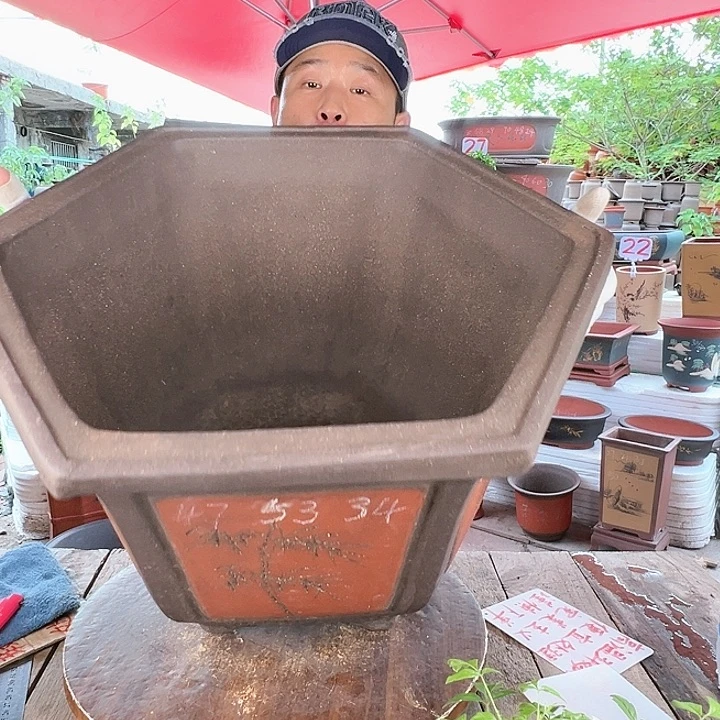紫砂20CM（含）-50CM（不含）