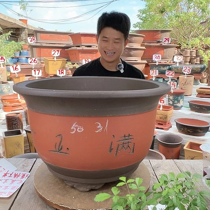 紫砂20CM（含）-50CM（不含）