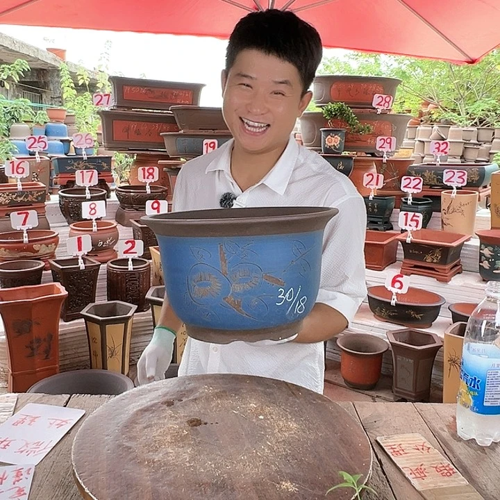 紫砂20CM（含）-50CM（不含）