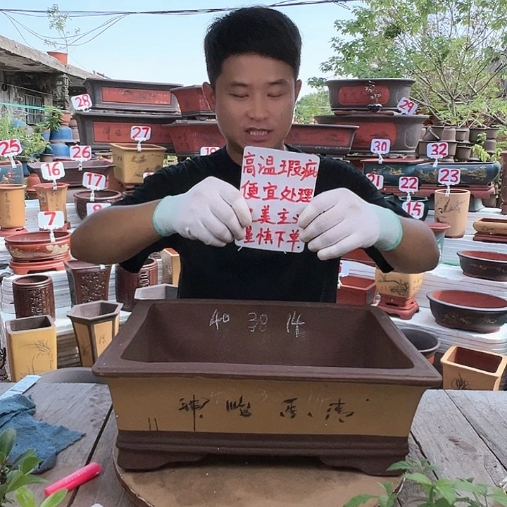 紫砂20CM（含）-50CM（不含）