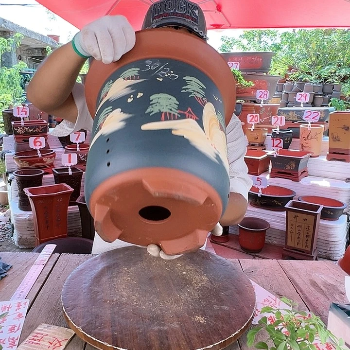 紫砂20CM（含）-50CM（不含）