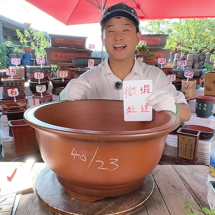 紫砂20CM（含）-50CM（不含）