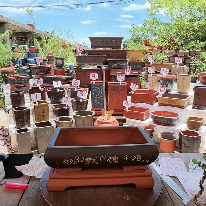 紫砂20CM（含）-50CM（不含）