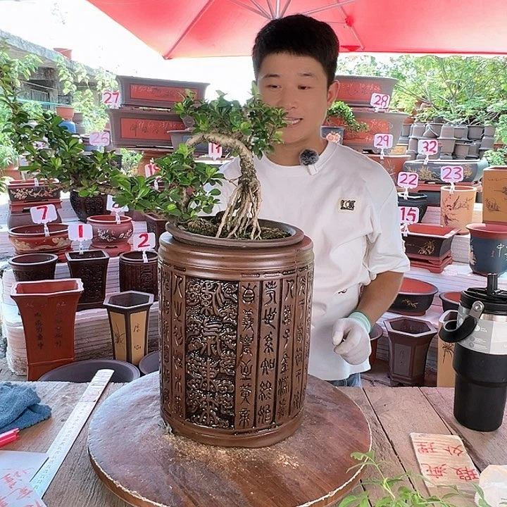 紫砂20CM（含）-50CM（不含）