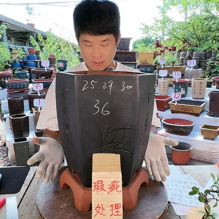 紫砂20CM（含）-50CM（不含）