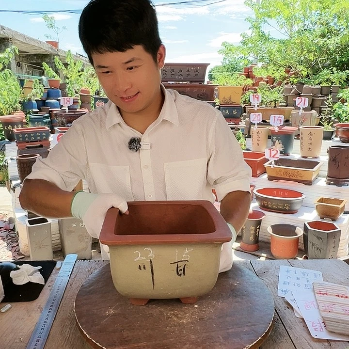 紫砂20CM(含)-50CM(不含)