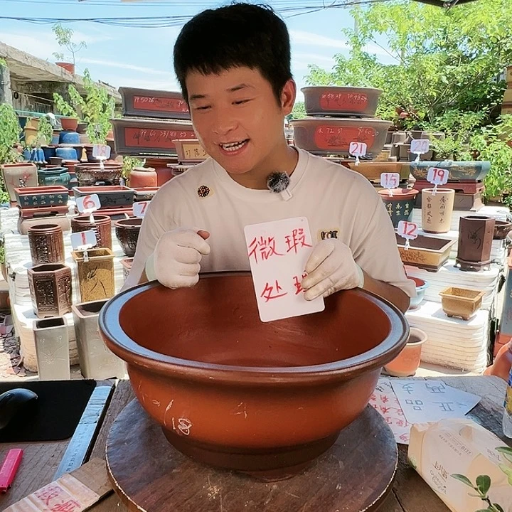 紫砂20CM（含）-50CM（不含）