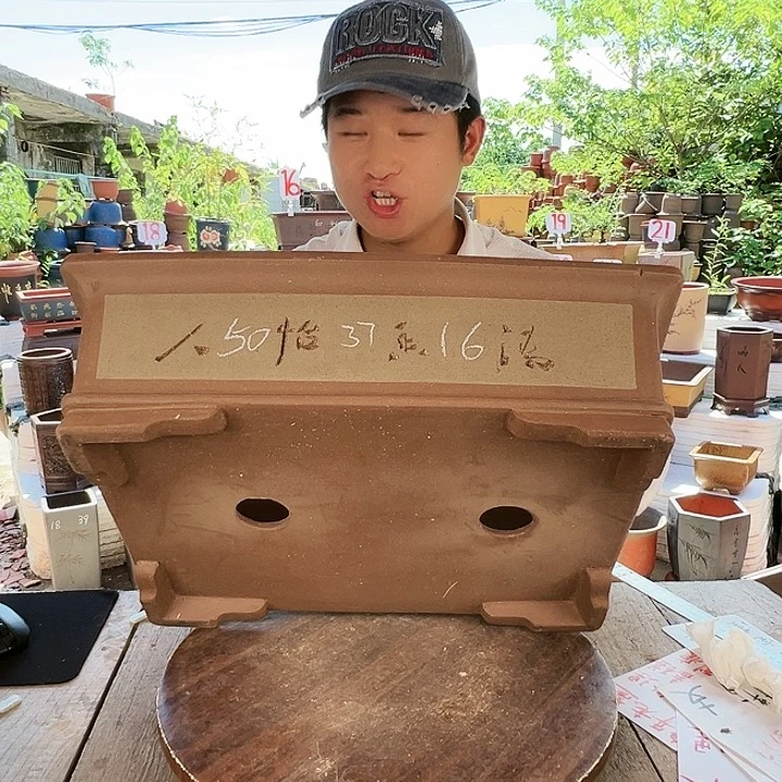 紫砂20CM（含）-50CM（不含）