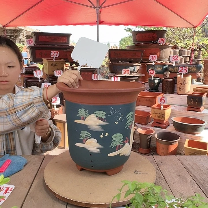 紫砂20CM(含)-50CM(不含)