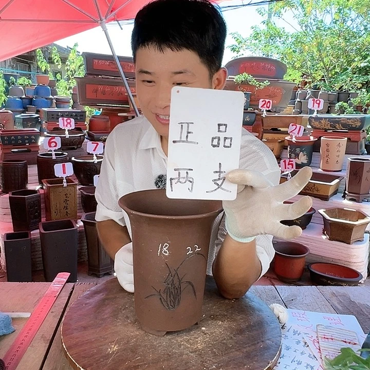 紫砂20CM（含）-50CM（不含）