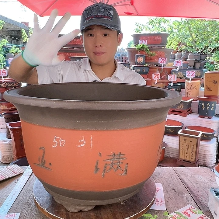 紫砂20CM（含）-50CM（不含）