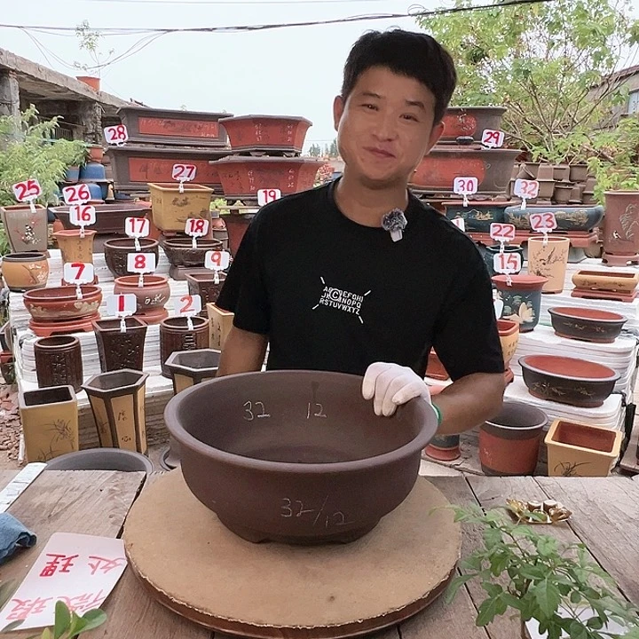 紫砂20CM（含）-50CM（不含）