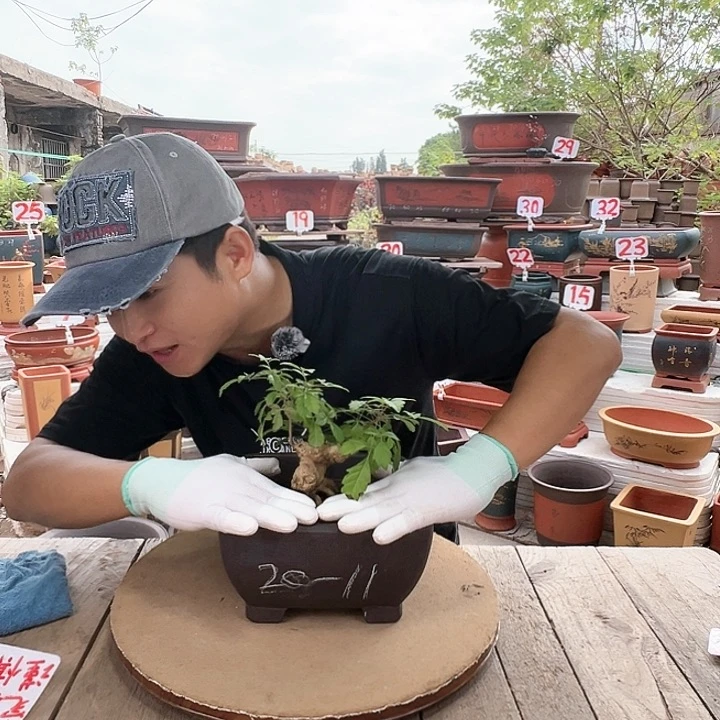 紫砂20CM（含）-50CM（不含）