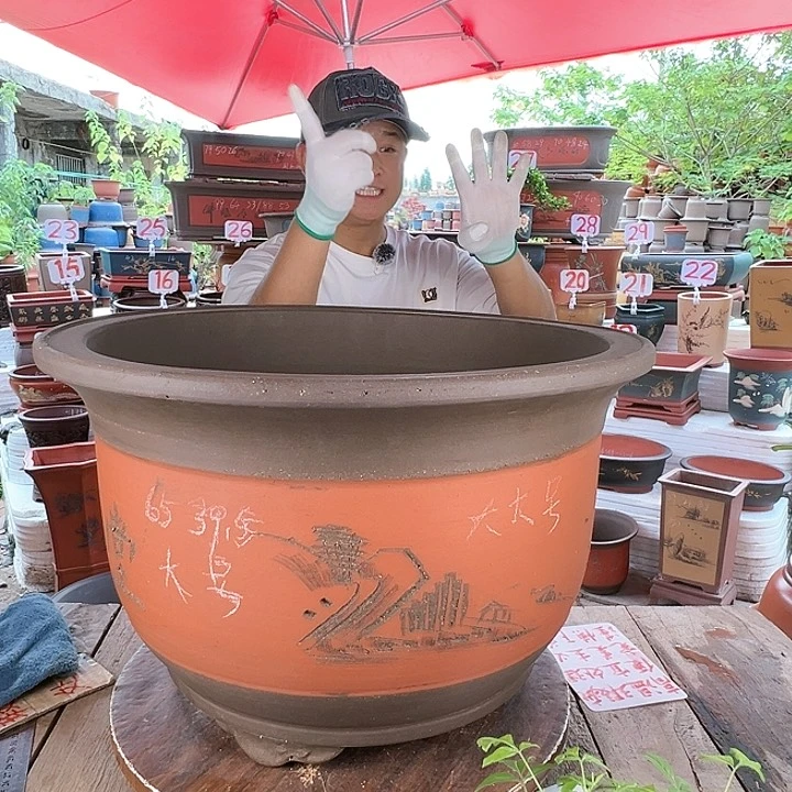 紫砂20CM（含）-50CM（不含）