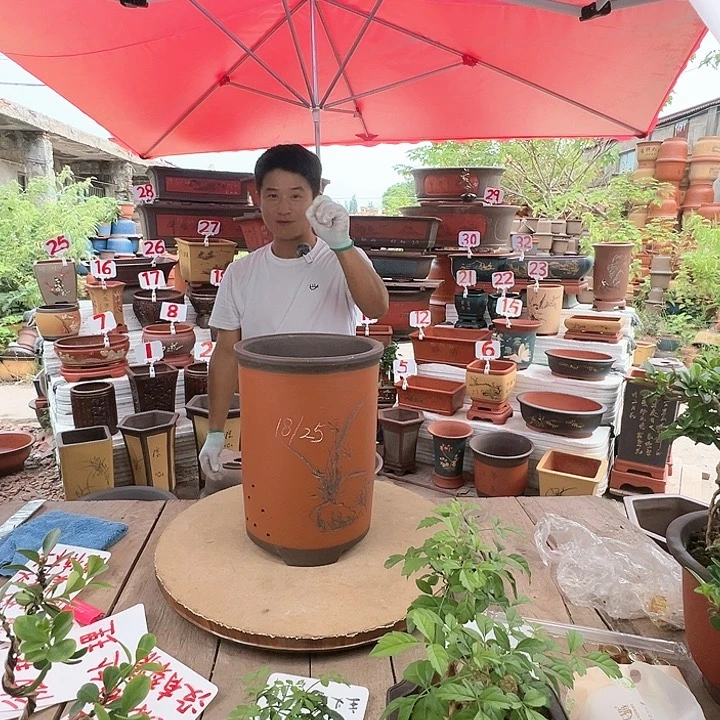 紫砂20CM（含）-50CM（不含）