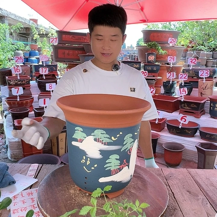 紫砂20CM（含）-50CM（不含）