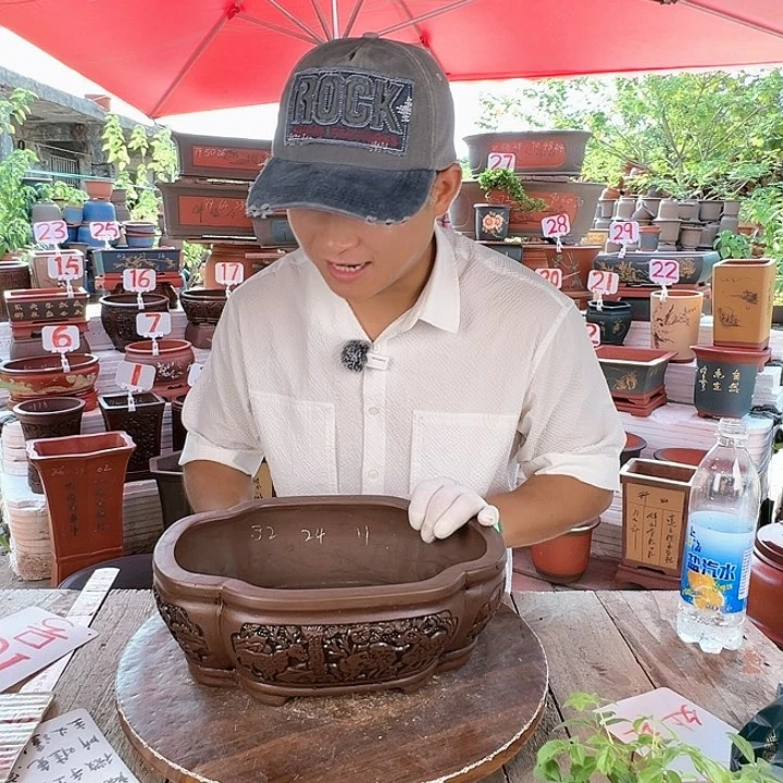紫砂20CM(含)-50CM(不含)