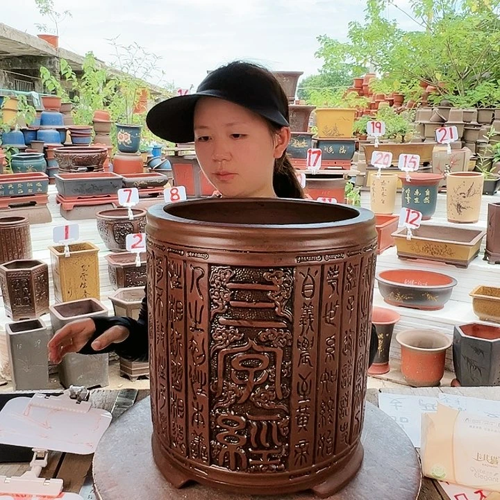 紫砂20CM（含）-50CM（不含）