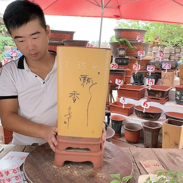 紫砂20CM（含）-50CM（不含）