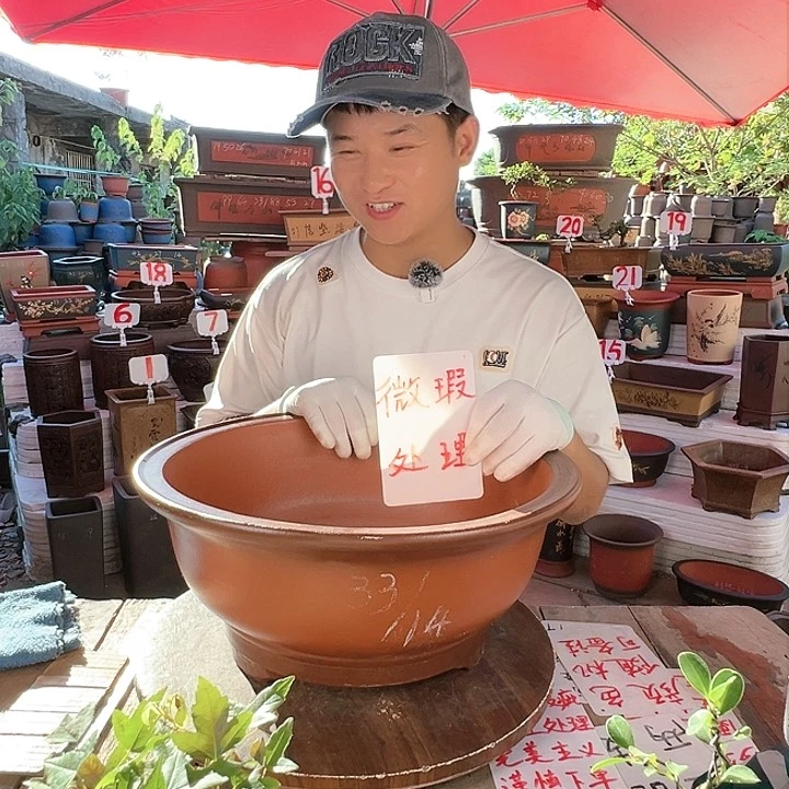 紫砂20CM（含）-50CM（不含）