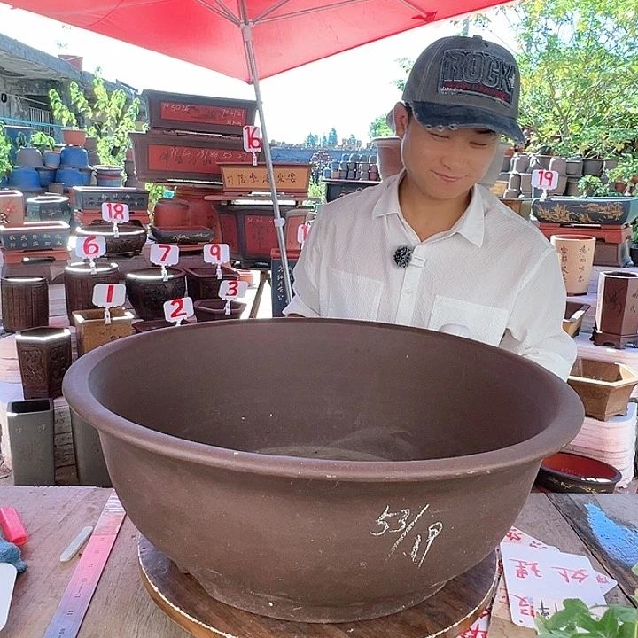 紫砂20CM（含）-50CM（不含）
